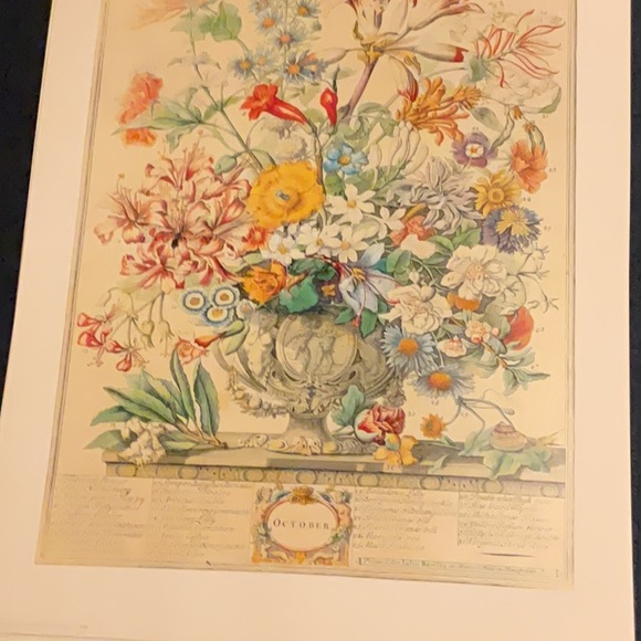 Flowers of the month prints, bundle of August February and October - Picture 11 of 13